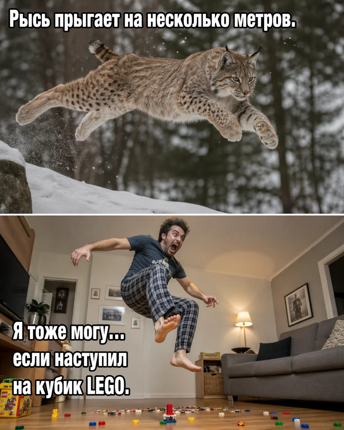 На фото милый рысёнок дремлет на ветке. Выглядит так, будто его единственная опасность — проспать об