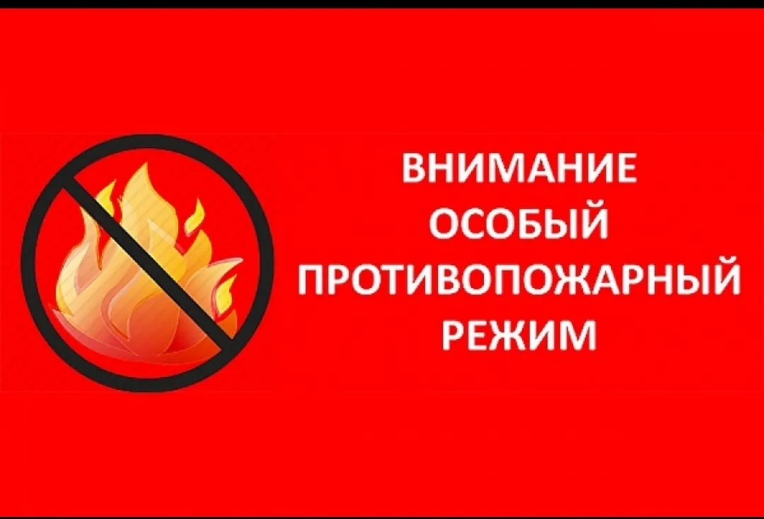❗‼️ВНИМАНИЕ ‼️❗

🔥С 30 апреля 2026 года на территории Нижегородской области введён особый противопо