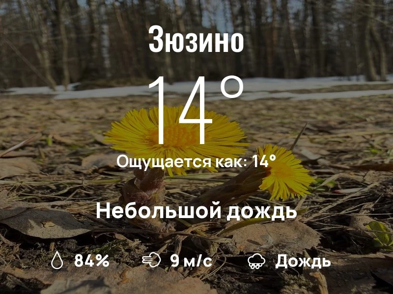 Что с погодой в Зюзино?