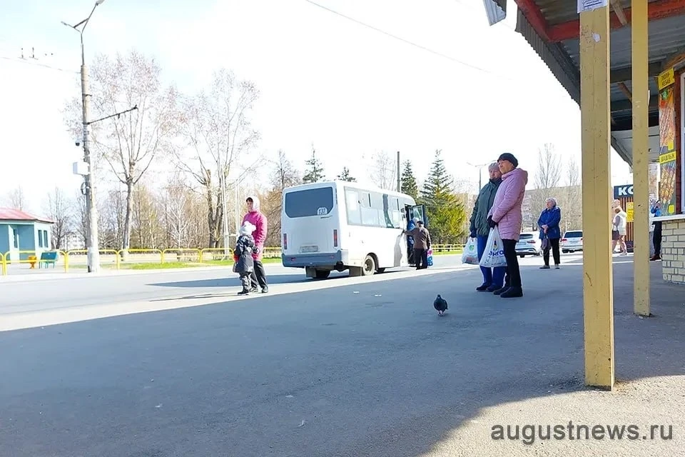 В Тольятти готовят большой надземный переход через улицу Мира