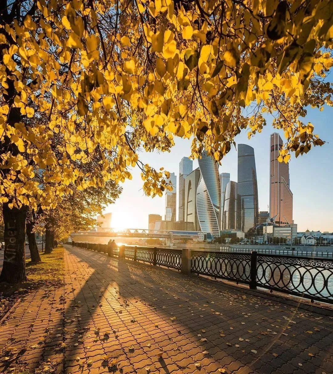 😍Резкое потепление ждет Москву в пятницу, будет до +18°C — «Фобос»