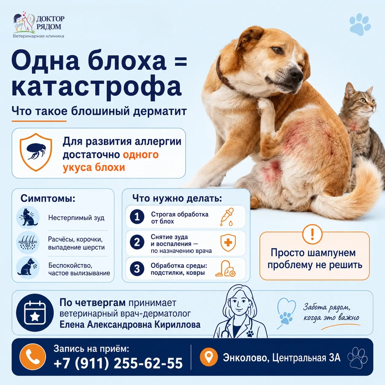 🦟 Одна блоха = катастрофа: что такое блошиный дерматит