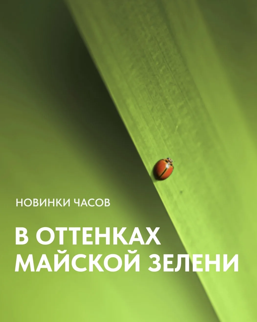 Зелёный цвет в часах — один из главных трендов последних лет 🌿