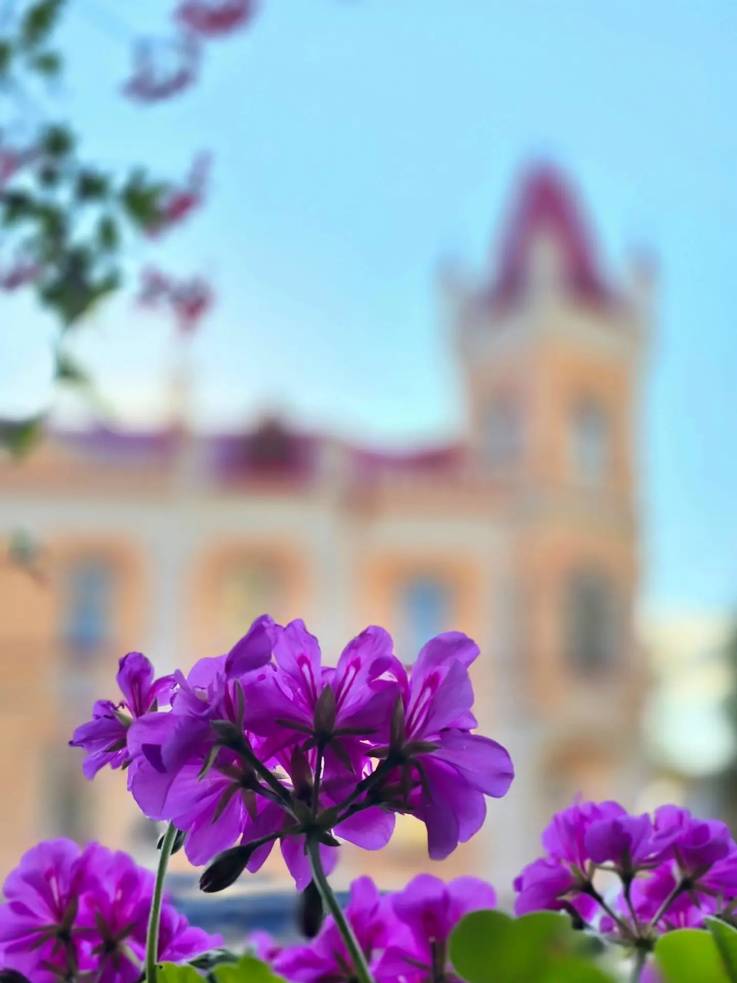 У Аваевской богадельни💜