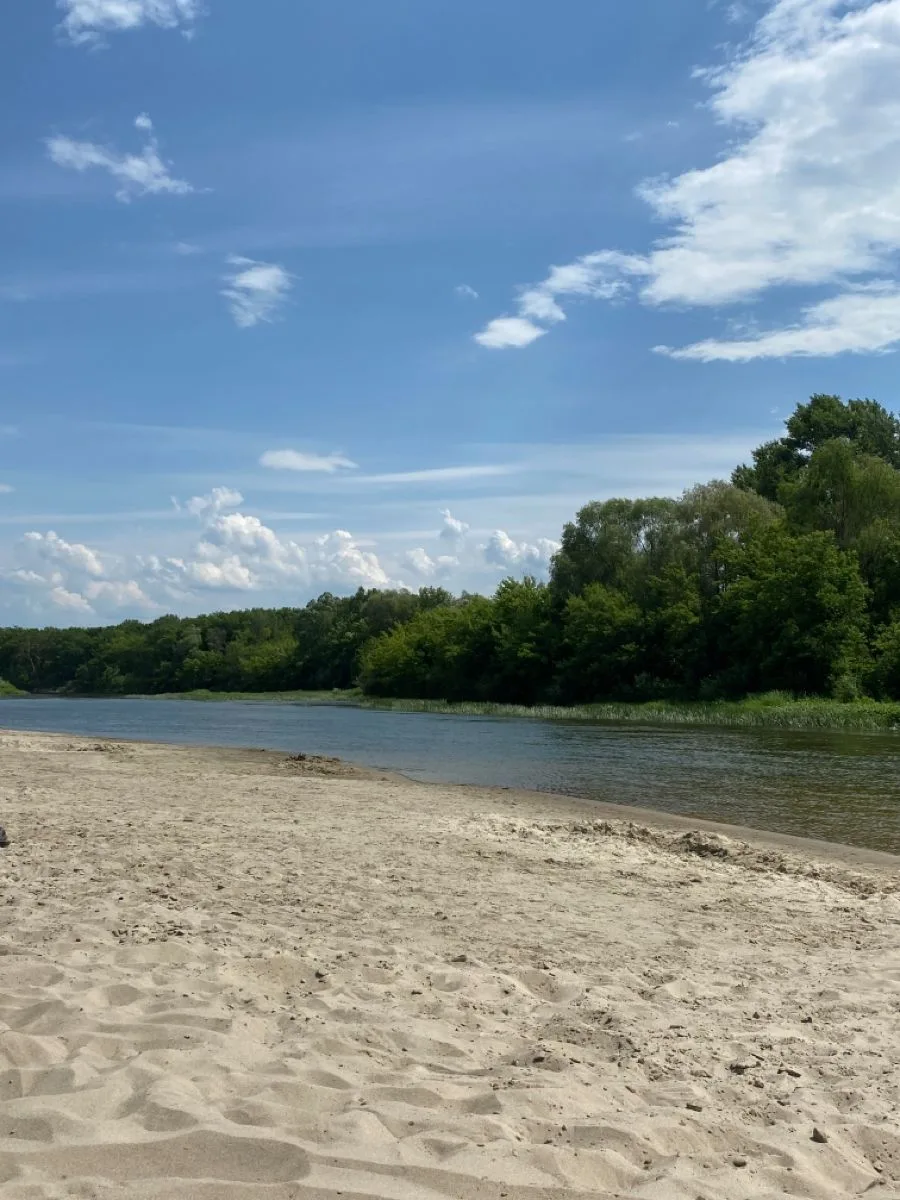 Главные правила и меры безопасности на воде: