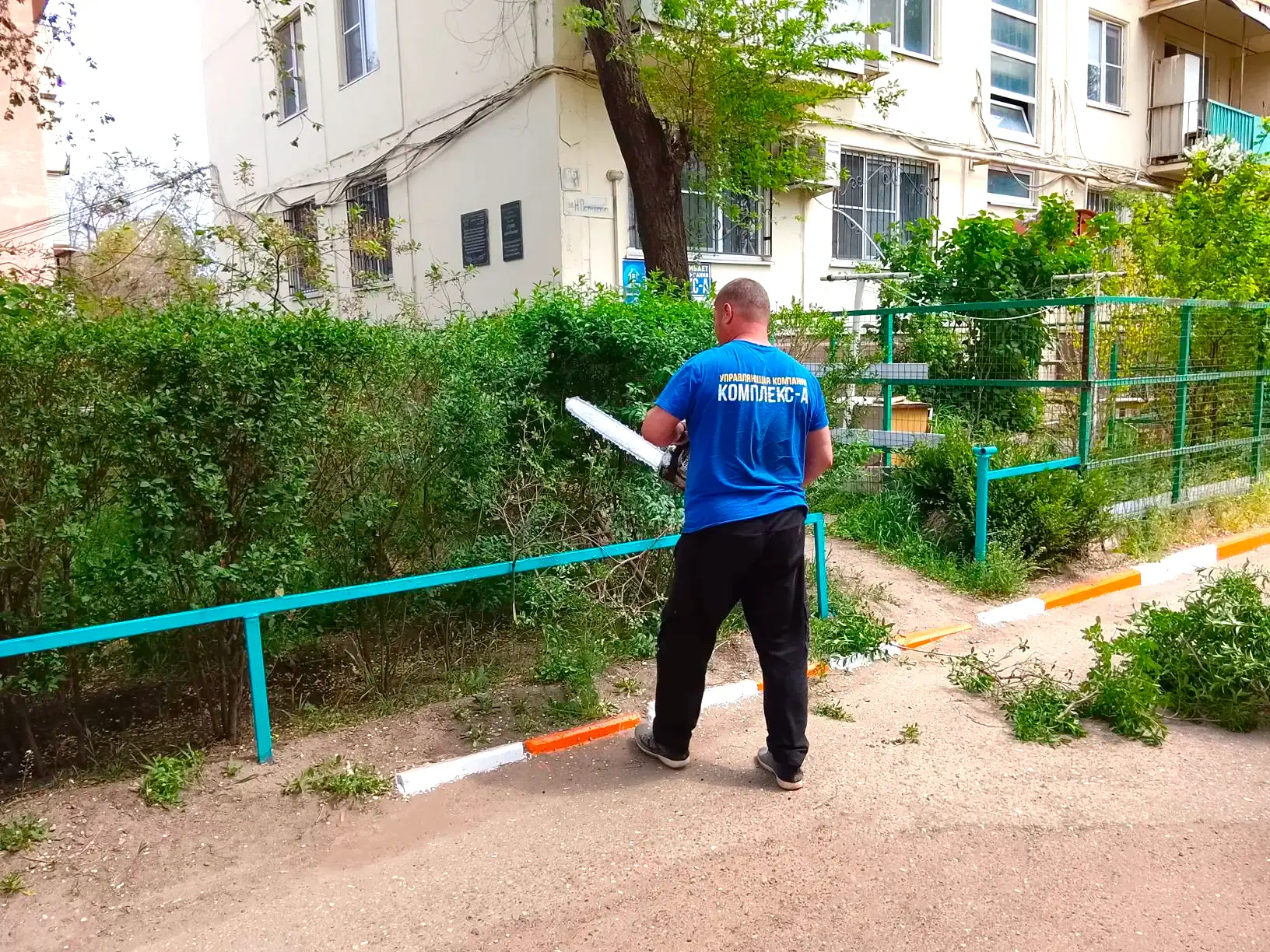 К новости «🌿 Зеленая геометрия двора!»