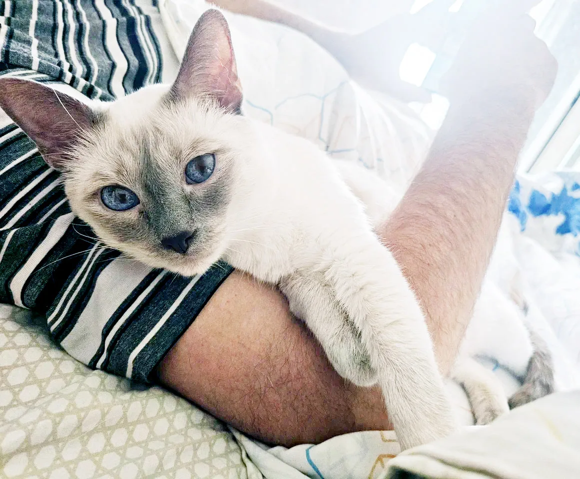 Утреннее. 😁
Рубрика "Мои мужики". 😻