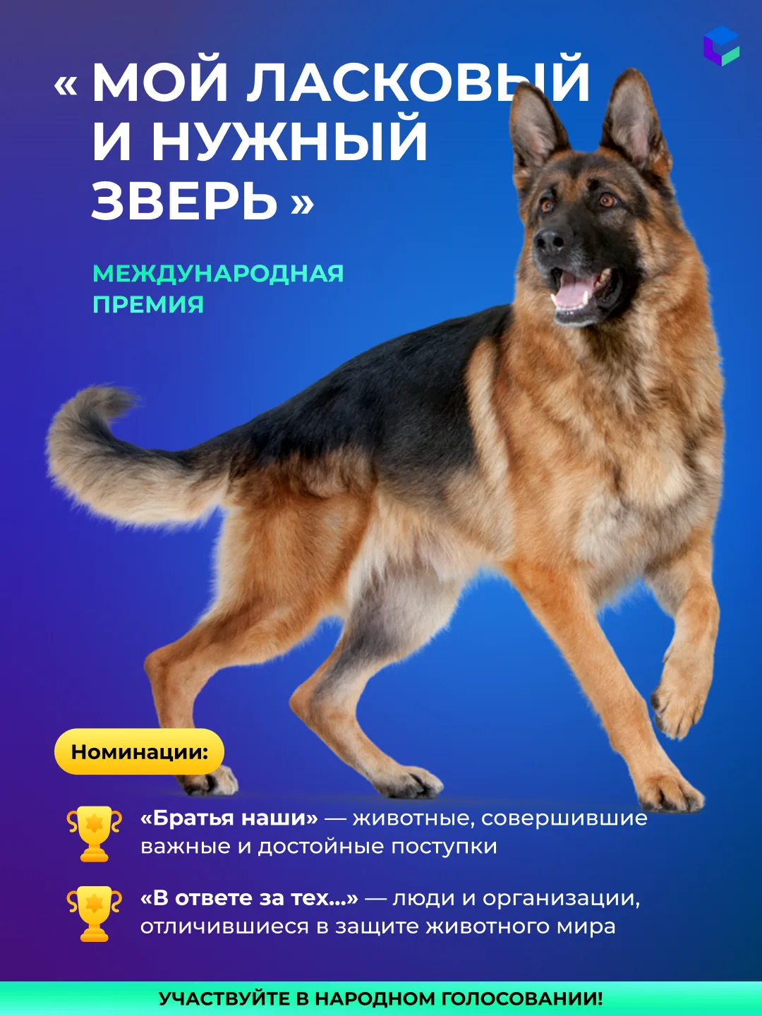 Жители Поморья могут поддержать героев Международной премии «Мой ласковый и нужный зверь»