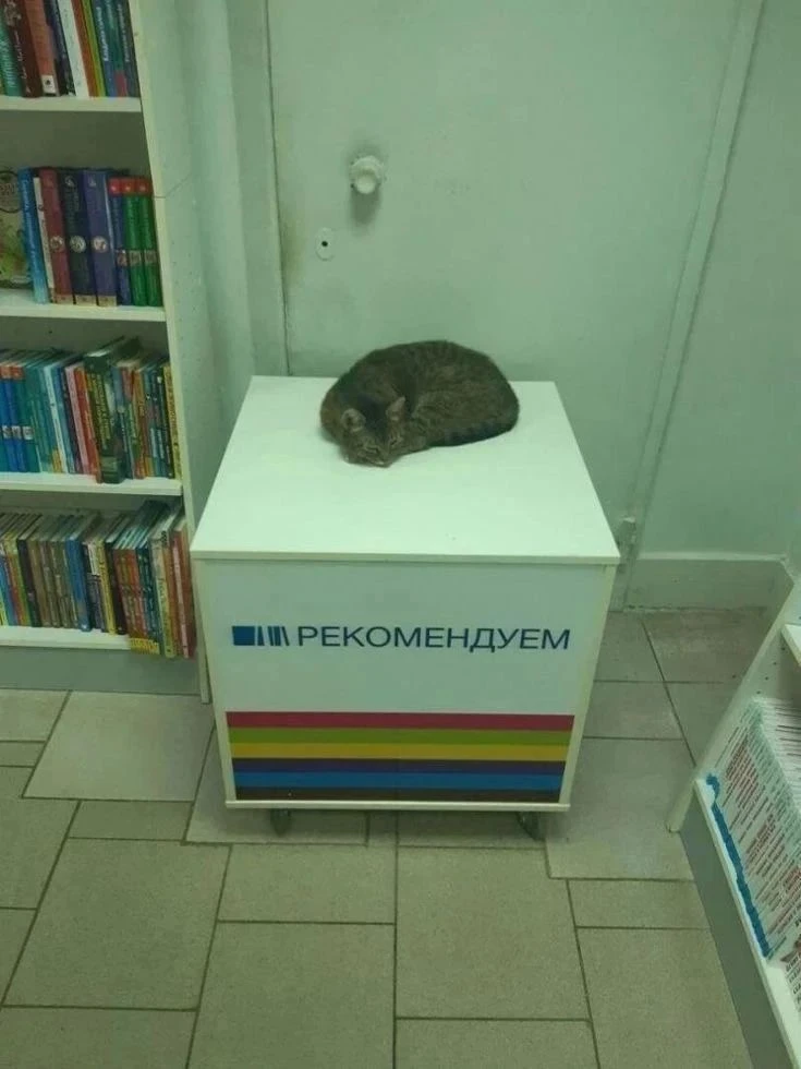 По части полезной литературы для релакса