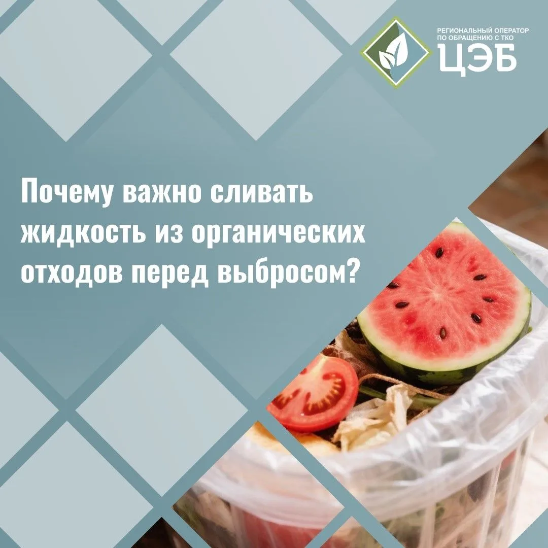 Сочная проблема: почему важно сливать жидкость из органических отходов перед выбросом