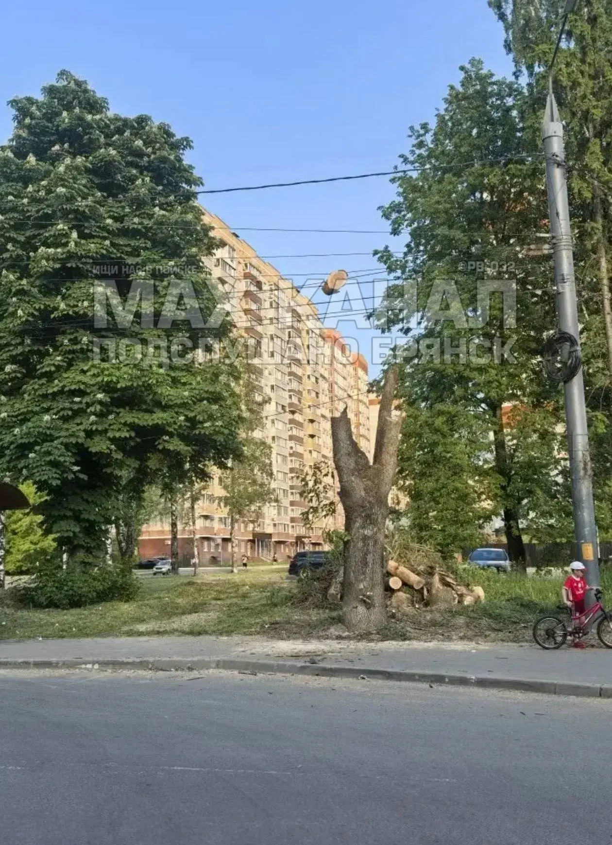 Пишут: На остановке Юрфак пилили деревья и оставили висеть часть дерева. Пока упадет на голову.  Под