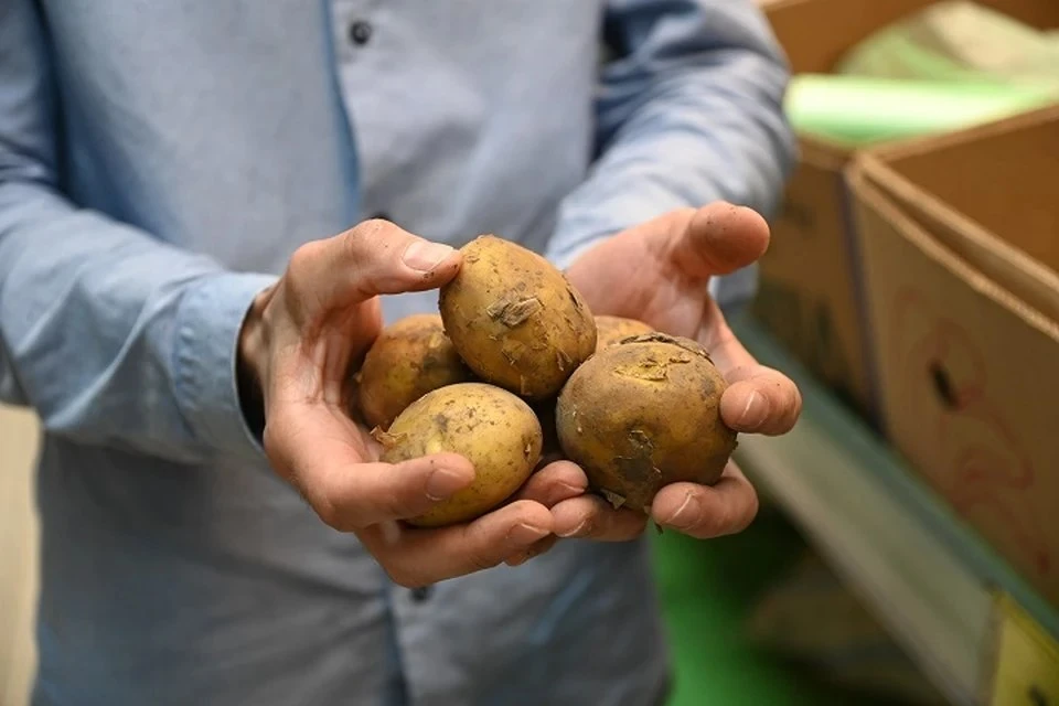 📈 В Татарстане подорожали сосиски и картофель

Сосиски и сардельки прибавили в стоимости 2,41%, кар