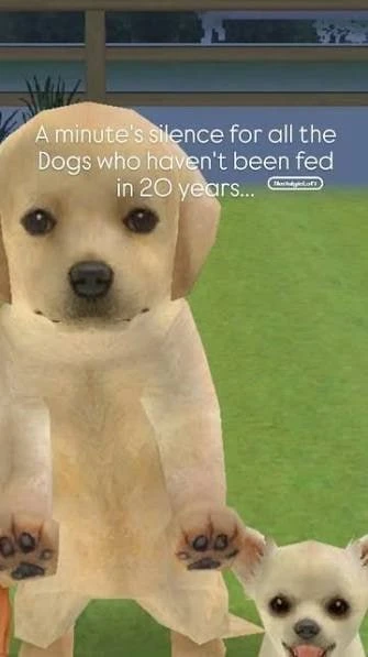 СЛУХ: на Switch появится игра для настоящих мужчин — в разработке новая Nintendogs