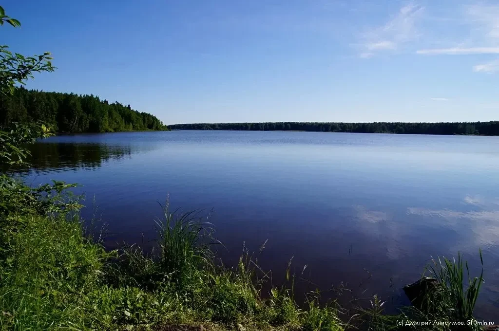 Работа по очищению воды Исинского пруда идет полным ходом. Депутаты Думы Верхнесалдинского муниципал