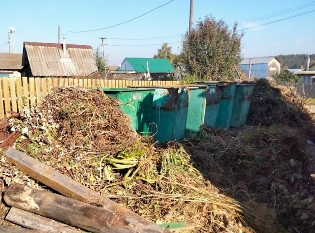 🍂 Почему скошенную траву нельзя выбрасывать в контейнеры?