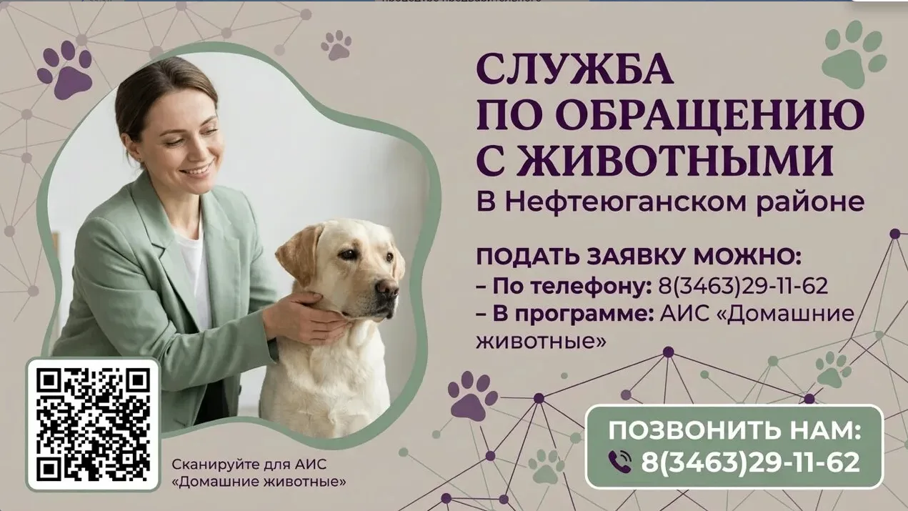 🐾 Внимание, жители Нефтеюганского района! Как работает система отлова безнадзорных жив...