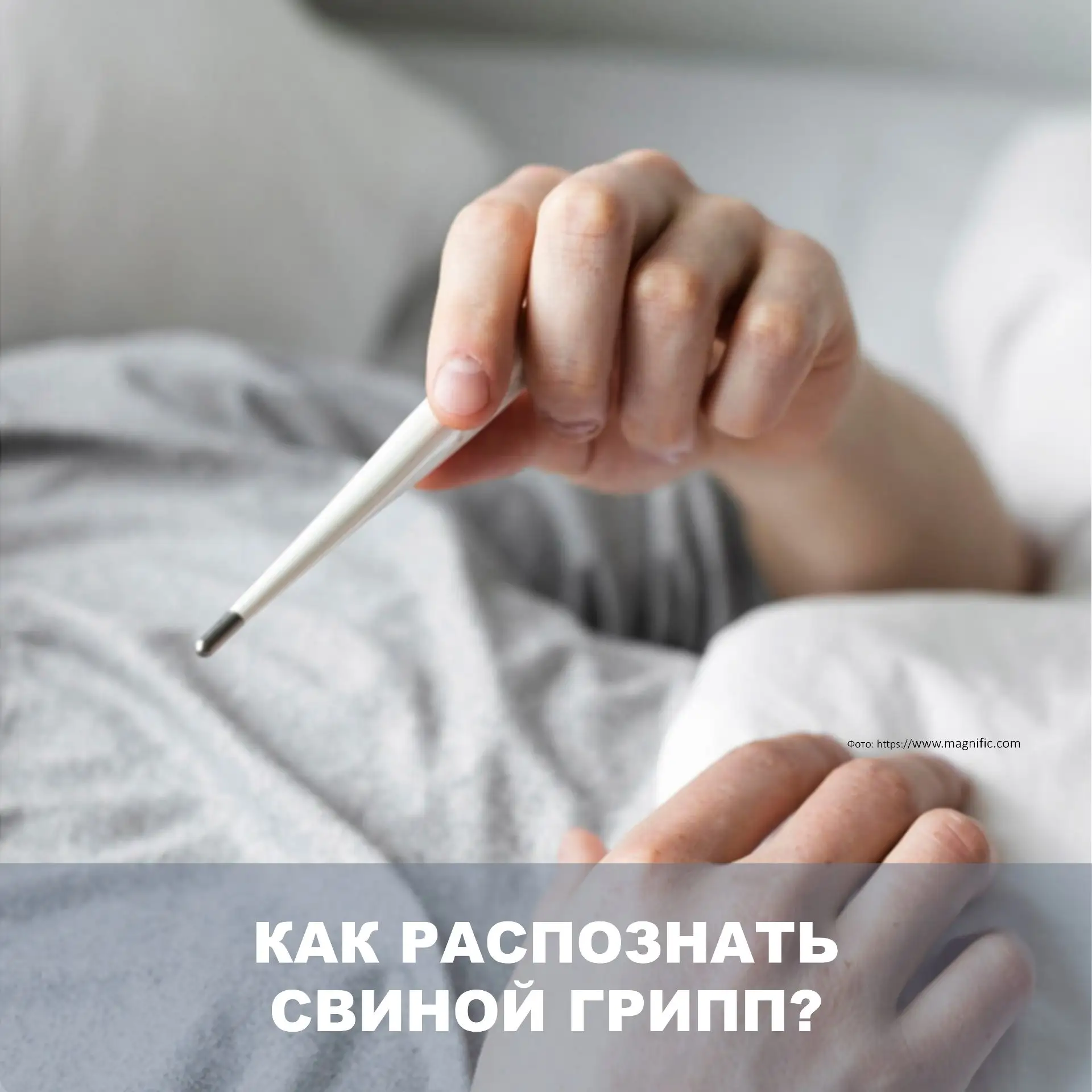 🦠 Внимание: в Татарстане прогнозируют подъём заболеваемости гриппом H1N1 (свиной грипп)