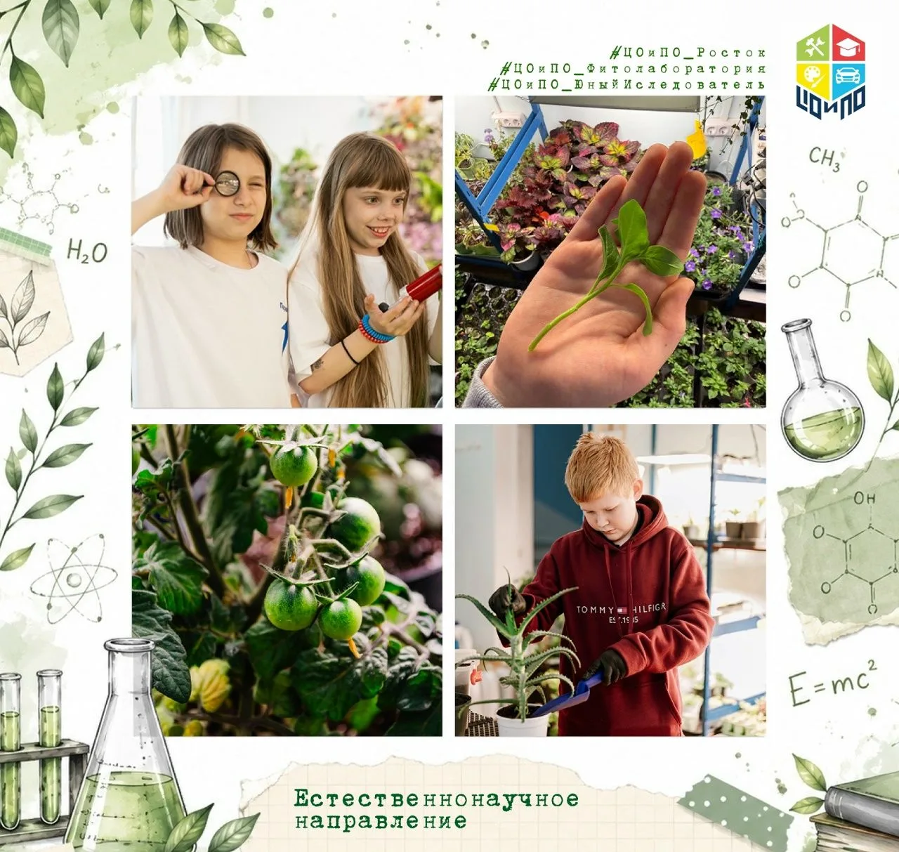 🌿🔬Почему растения растут? Как провести настоящее исследование? С чего начинается путь...