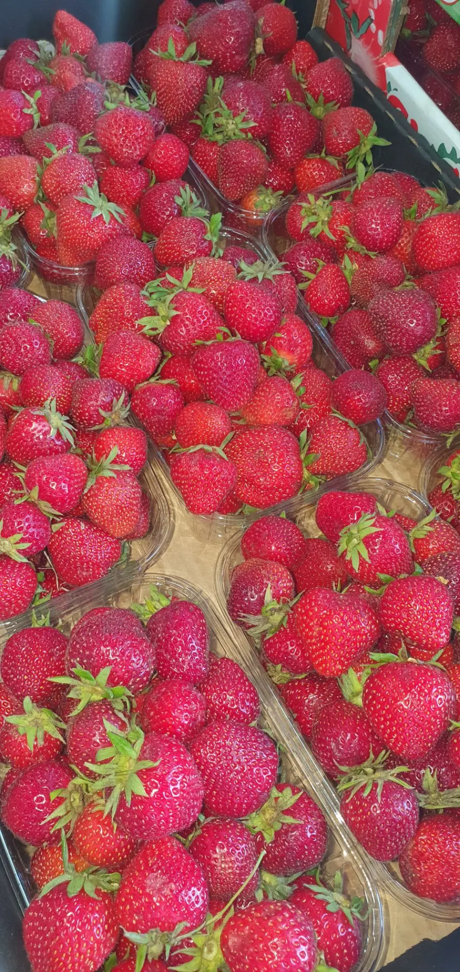 Новый завоз: 

🍓 Домашняя  клубника ( с огорода ) 
🍉 сахарный арбуз и дыня( оранжевая мякоть)
🍇бо