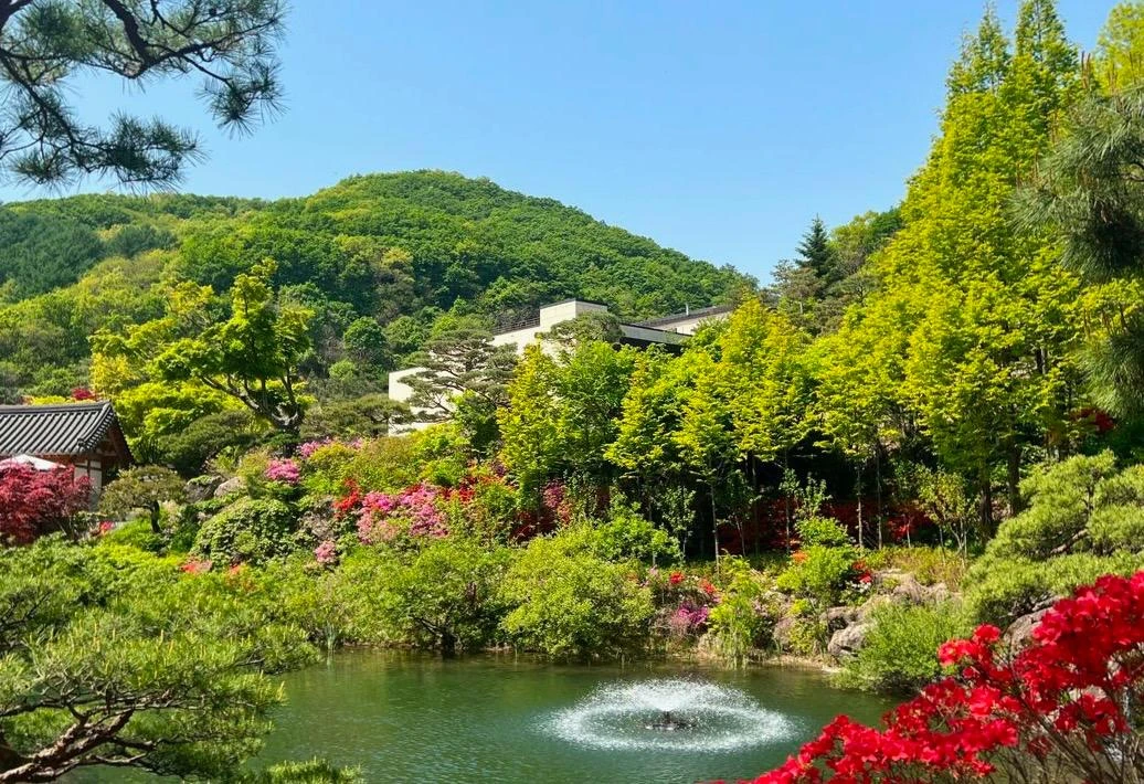 Ботанический сад Хвадам в Кванджу, Южная Корея 🇰🇷  🔹 Ботанический сад Хвадам расположен в городе Ква