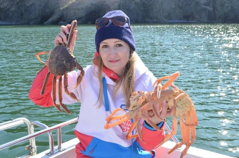 🔥 ДОБОР🐋 есть горящие места со СКИДКОЙ 

29 июля - 4 места в бухту Русскую с высадкой 
‼️18500₽ (2