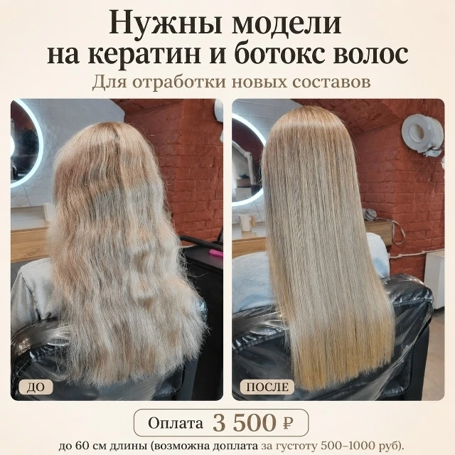 Возьму двух девушек моделями

Ищу:
1. Сухие/ обезвоженные волосы.
2. Желательно блонд.
3. Повреждённ
