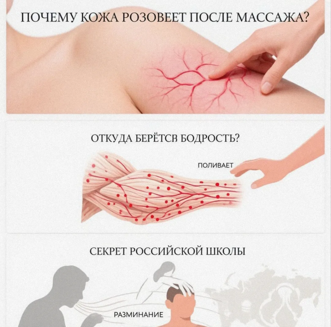 Факт дня — Капиллярная сеть