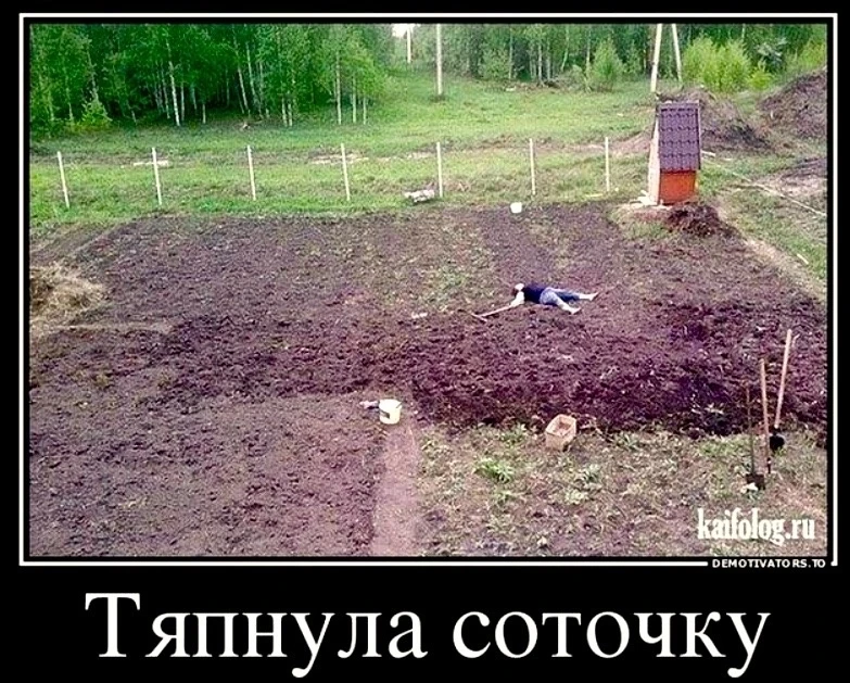 Вот что значит тяпнуть соточку !