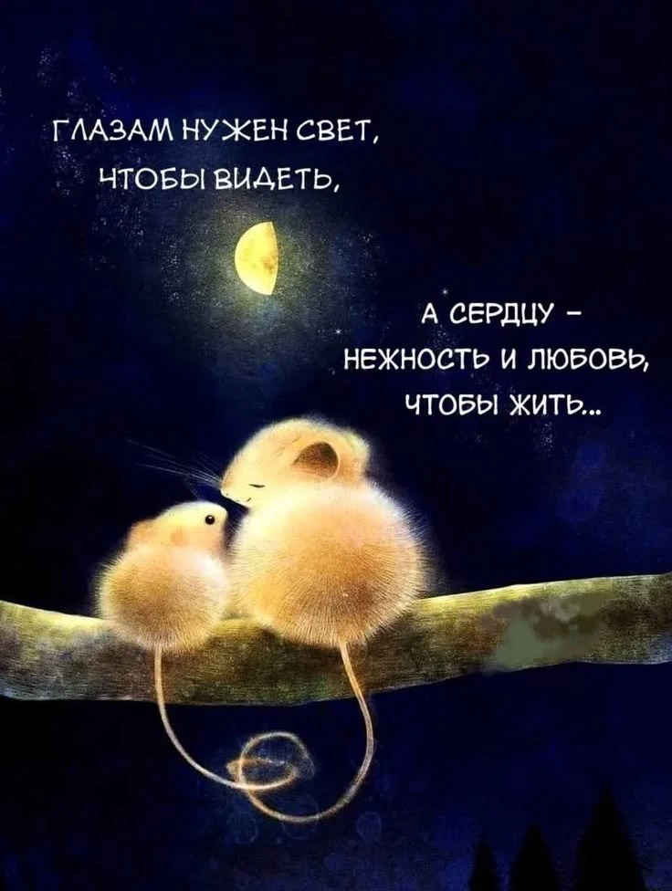 #люблютебя