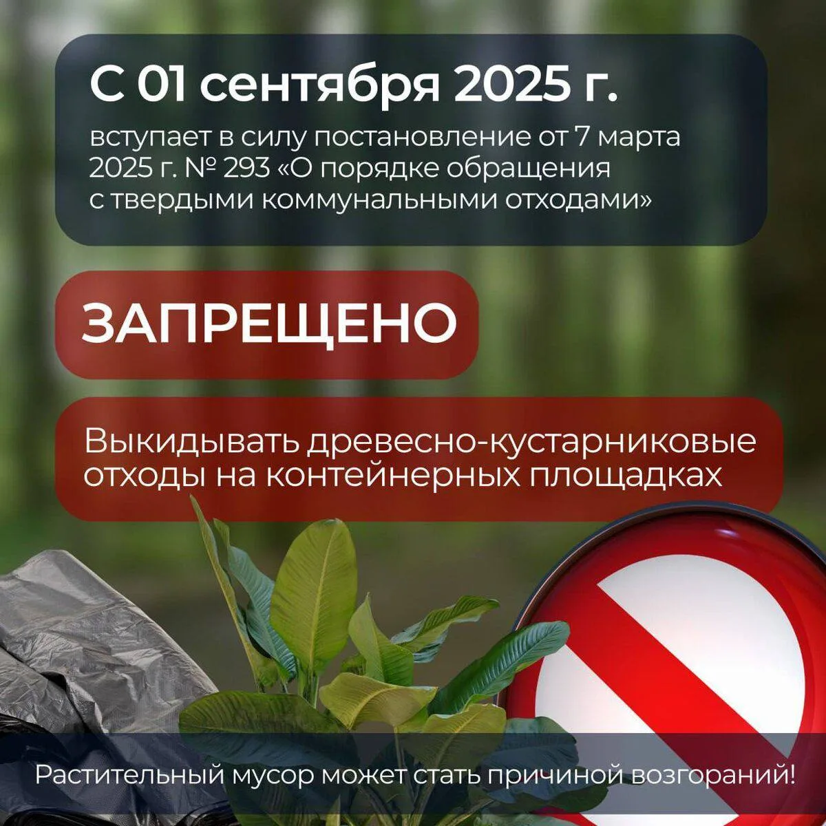 🏠 СОСЕДИ, ВАЖНОЕ ПРАВИЛО! 🍂 НЕ ВЫБРАСЫВАЙТЕ ВЕТКИ У КОНТЕЙНЕРОВ