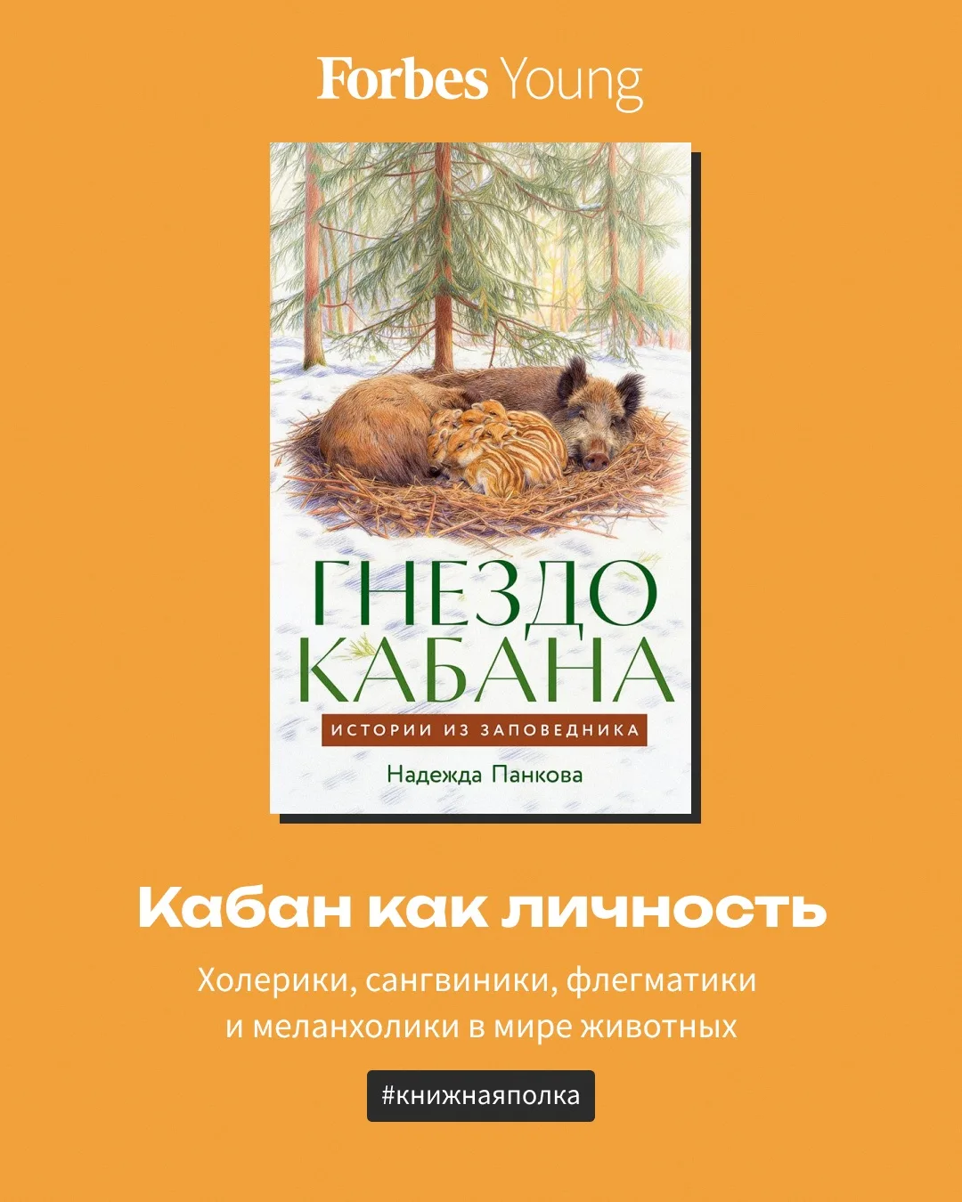«Догадываются ли кабаны, что встреча с ними для кого-то — исполнение мечты? Не могу утверждать, но м