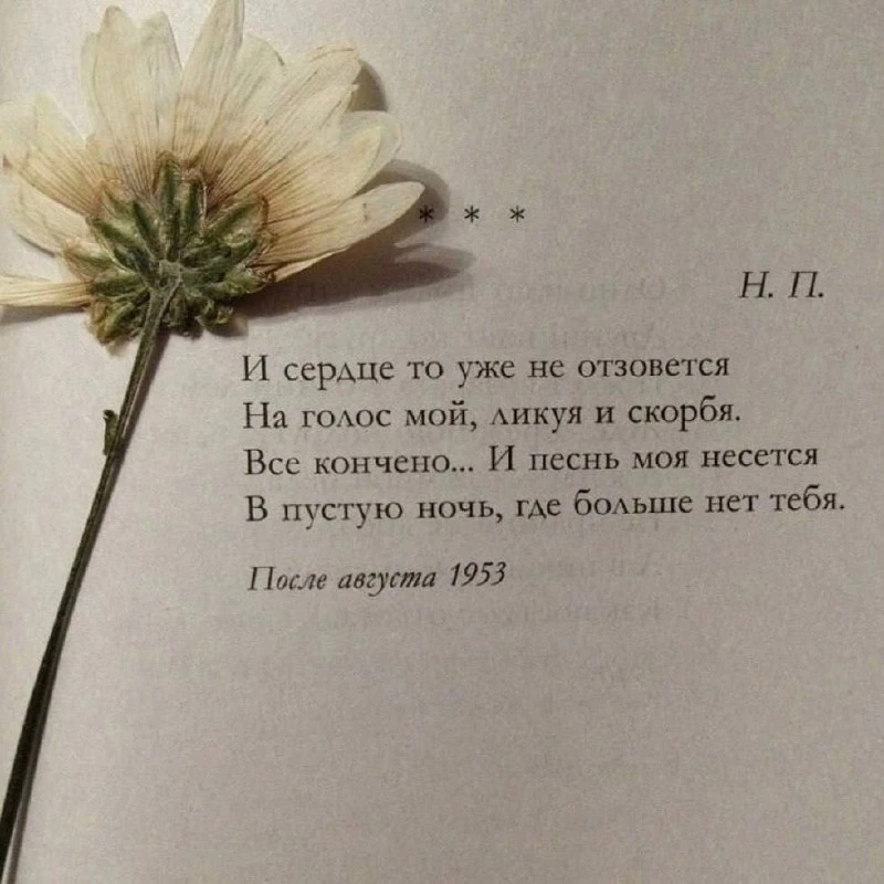 Когда тебе откровенно лгут — отвечай искренне и честно.