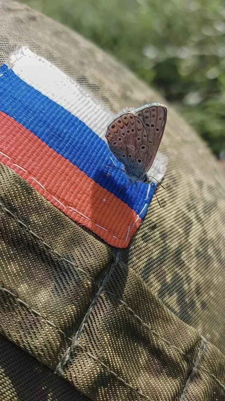 🇷🇺 🇷🇺🇷🇺