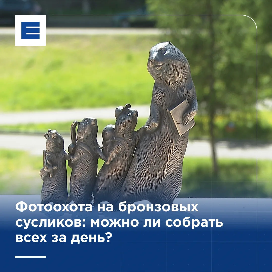 Фотоохота на бронзовых сусликов: можно ли собрать всех за день?
