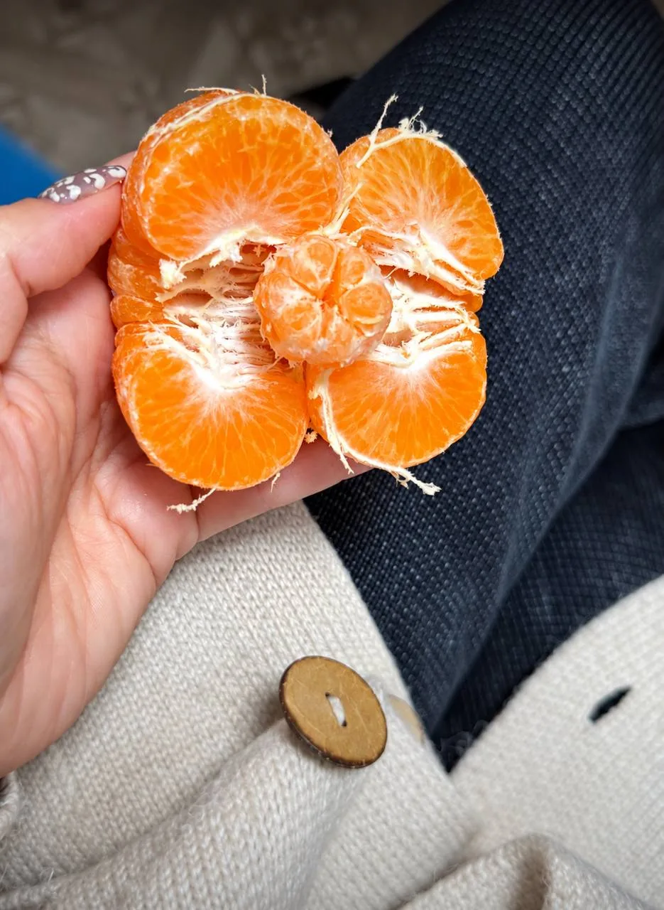 🍊 Вот это акция в «Магните»: два мандарина по цене одного 😄
