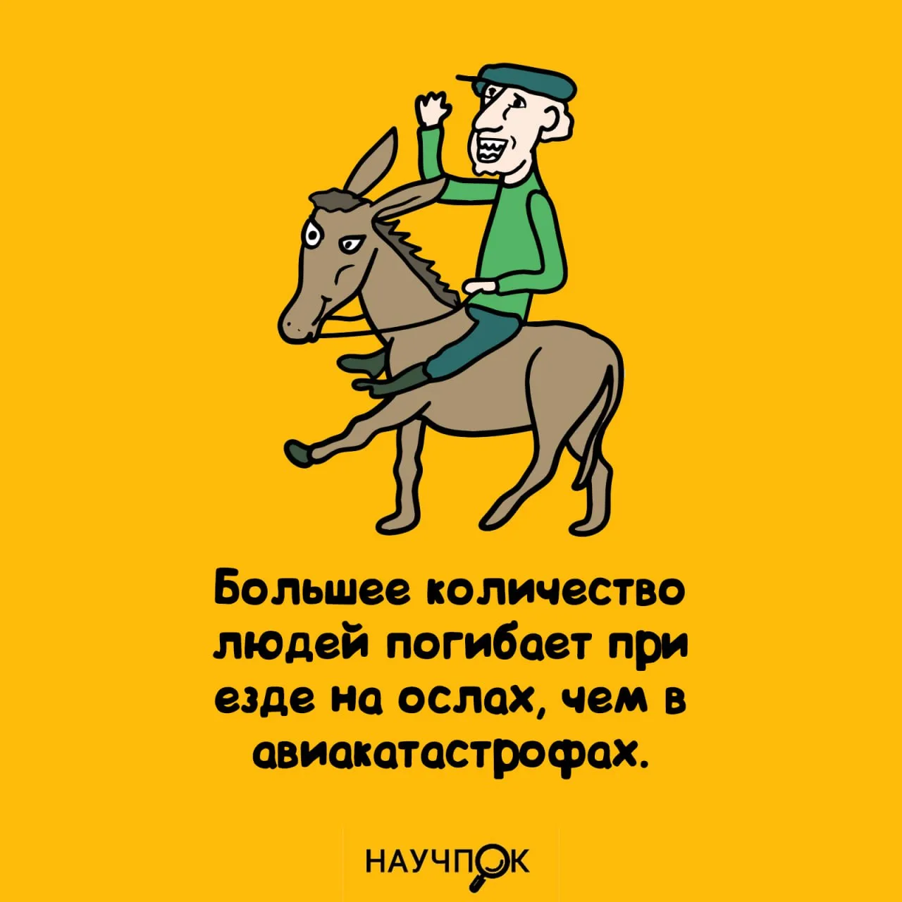 Научпок | Подписаться