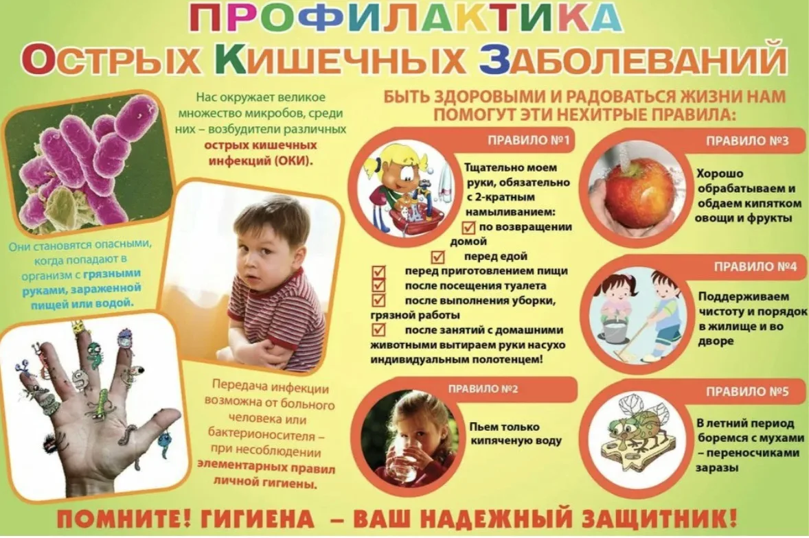 «ВАЖНО ЗНАТЬ! МЕРЫ ПРОФИЛАКТИКИ ЭВИ И ОКИ»

Высокая температура воздуха создает идеальные условия дл