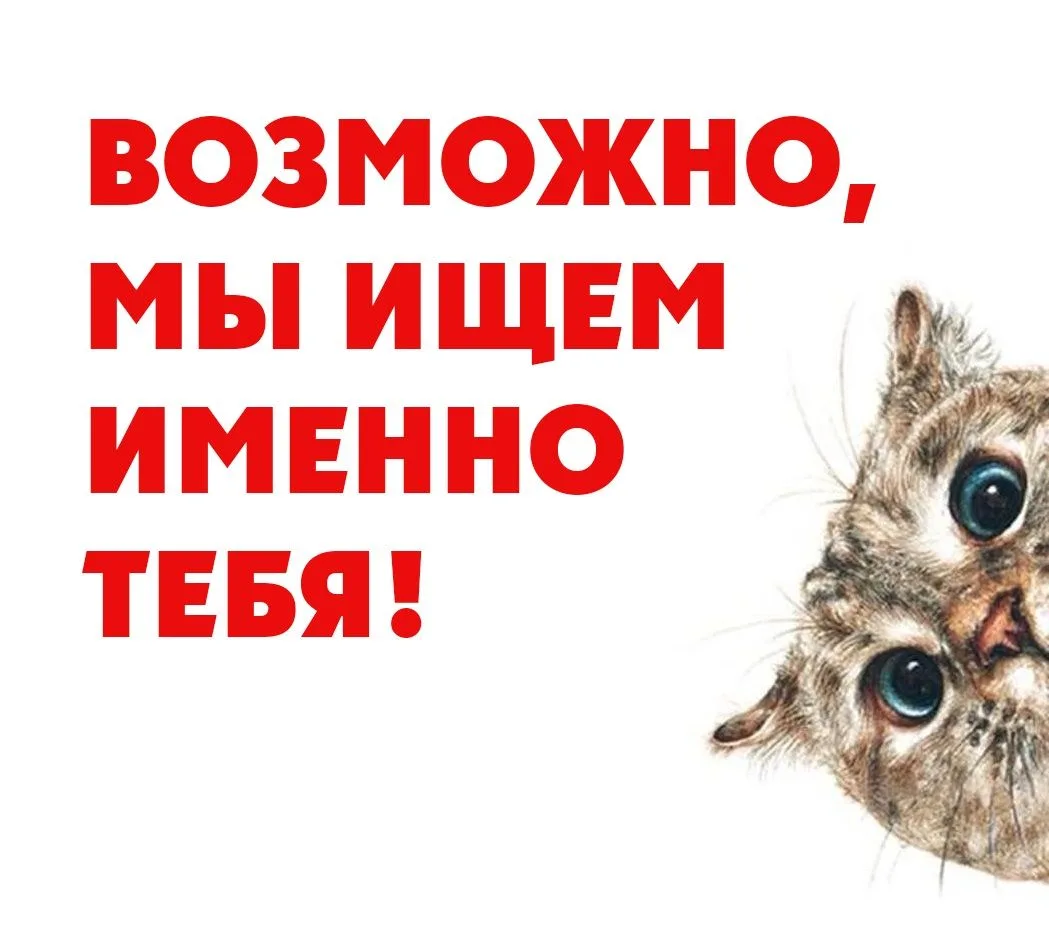 #150 ВАКАНСИИ
С 01 сентября 2026 года ГБОУ Лицей №150 Калининского района открывает следующие ваканс