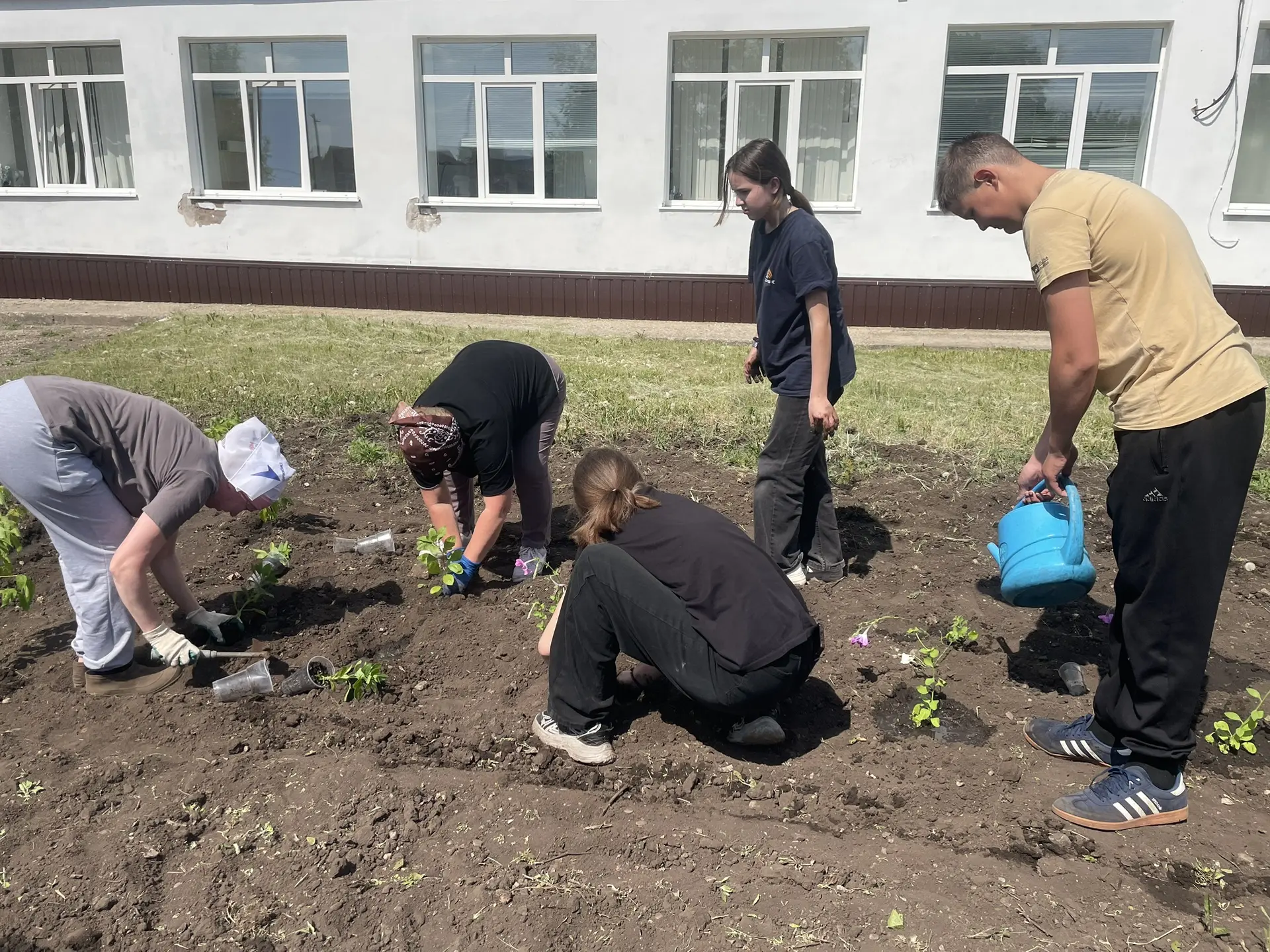 Школа– это наш общий дом, который мы любим и хотим видеть его красивым. В наше время оз...