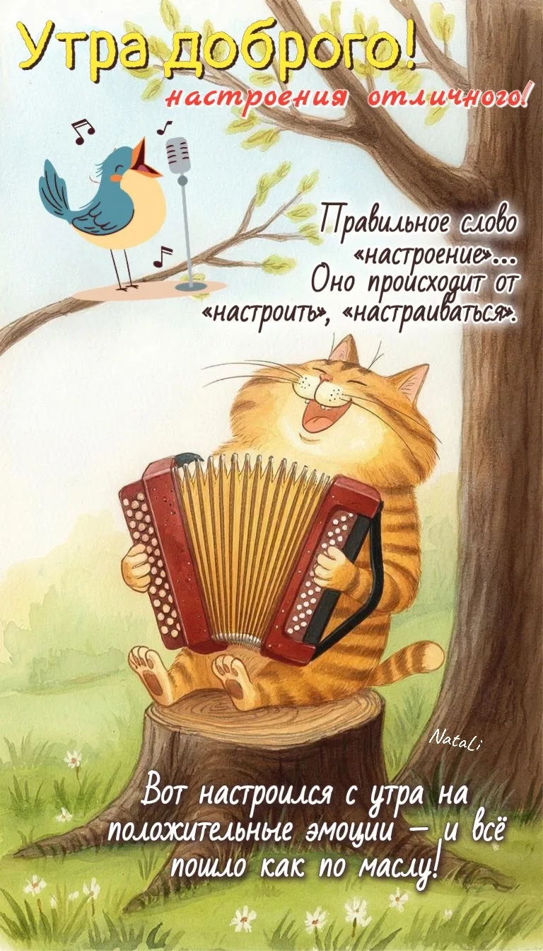 Рай открыток | Открытки 🥰