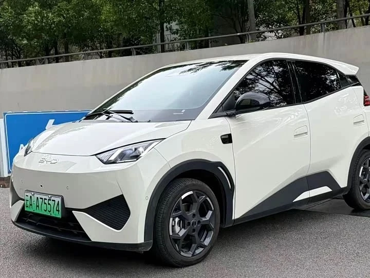 🚙BYD Seagull