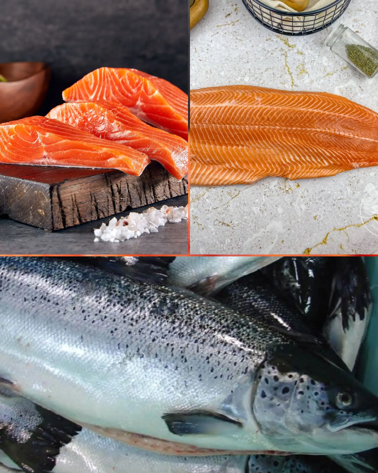 🐟 Свежая охлаждённая семга из Мурманска 

📅 Поставка 5-6.08:

🐟Семга 3-4 кг -1600 ₽/кг 
🐟Семга 5