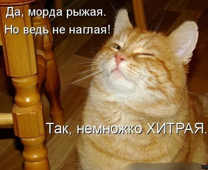 Улыбаемся, хорошим настроением заряжаемся!  😊