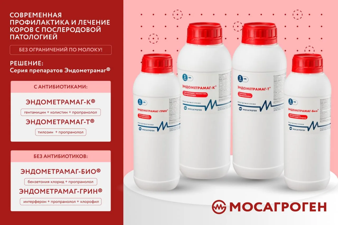 🩺 СОВРЕМЕННАЯ ПРОФИЛАКТИКА И ЛЕЧЕНИЕ КОРОВ С ПОСЛЕРОДОВОЙ ПАТОЛОГИЕЙ БЕЗ ОГРАНИЧЕНИЙ П...