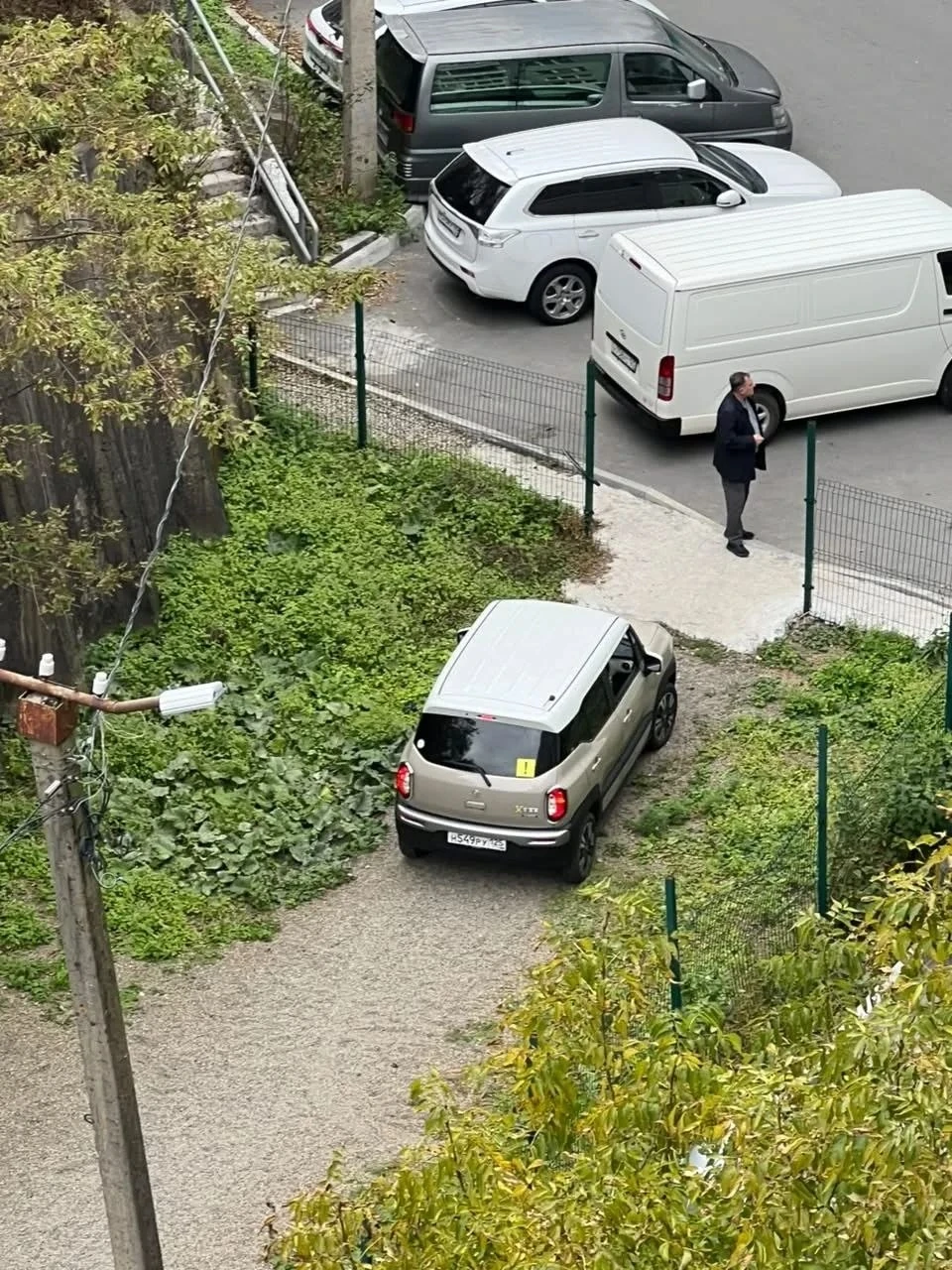 Снесла забор и приехала к клумбам
