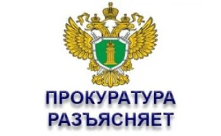 Друзья! Кажется, что питбайк — это просто крутая игрушка. На самом деле это серьезный источник опасн