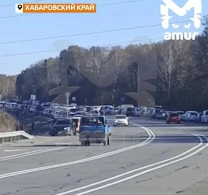 🚗 Под Хабаровском битва за парковку у новой экотропы — сотни машин и драки