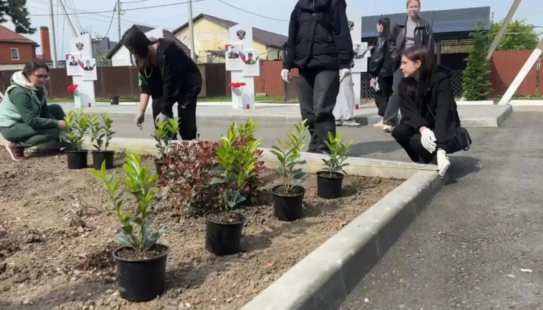 Связь поколений — в каждом саженце!🌱  Студенты и педагоги ГБПОУ КК «Брюховецкий аграрный колледж»  п