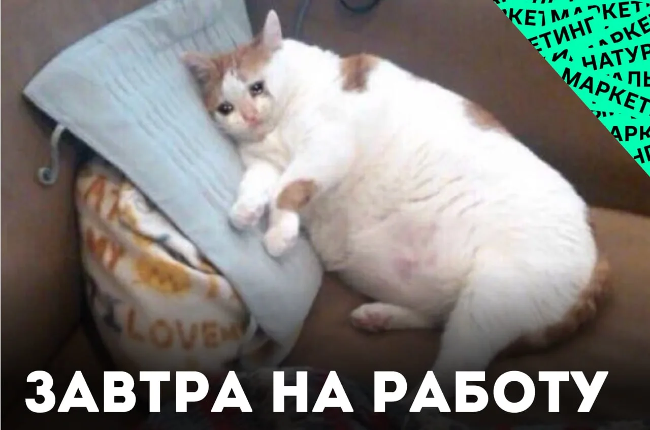 🍔 Пятидневная рабочая неделя ведет к ожирению, выяснили учёные.