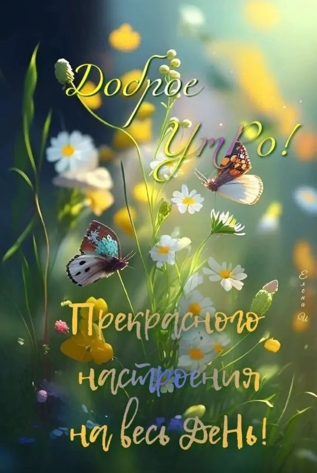 Доброе утро, друзья❤️! 

Послание дня✨

✨✨✨✨✨✨✨✨✨✨✨✨✨✨✨✨✨✨✨✨
УЧИТЕСЬ ВИДЕТЬ ВОЗМОЖНОСТИ ТАМ, ГДЕ ЕСТ